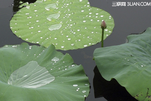 下雨天拍摄的技巧25