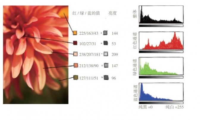 认识数码照片中的色调4