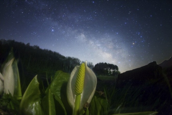 宫坂雅博拍摄星空如何选好前景1