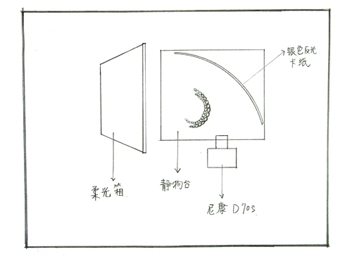 首饰拍摄技巧15