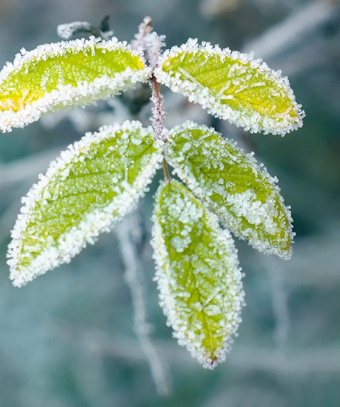 告别雪季拍摄4个平庸场景5