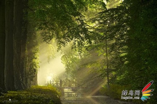 酷日炎炎 保护器材捕捉夏天的味道15