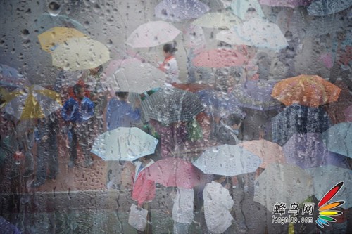 【雨天摄影技巧】雨天如何能拍出好片3