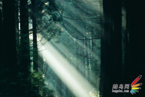 酷日炎炎 保护器材捕捉夏天的味道18