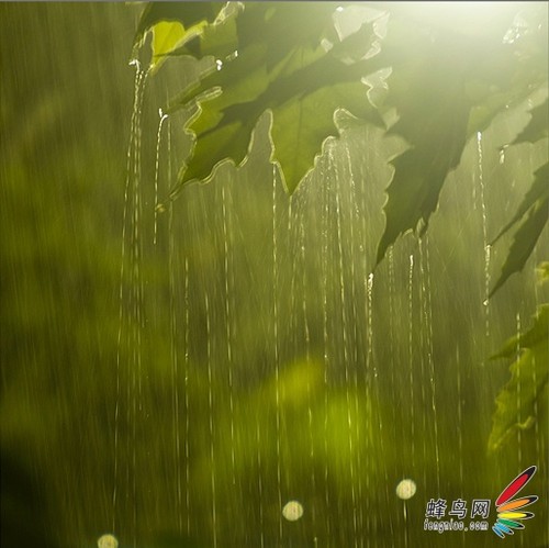 【雨天摄影技巧】雨天如何能拍出好片2