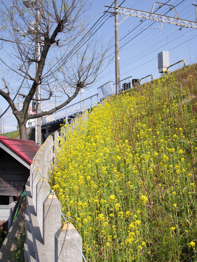 适马19mm f/2.8 CN无反镜头测评10