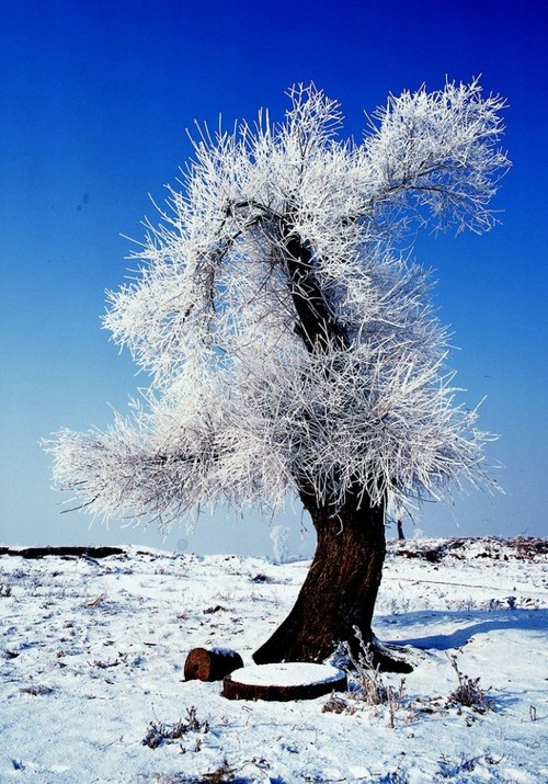 小配件帮你拍出别样冬日雪景1