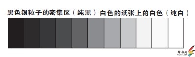 如何分区曝光法，排出精美黑白照片3