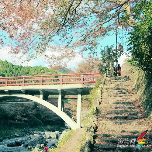 摄影名词之造就清新“空气感”2