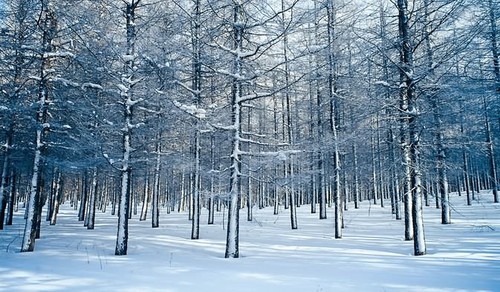 实例教你构图拍好冰雪世界1