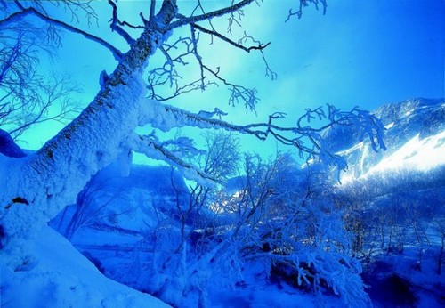 小配件帮你拍出别样冬日雪景4