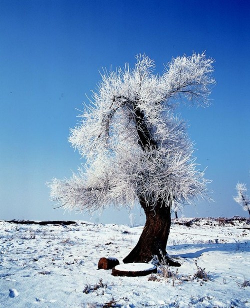 小配件帮你拍出别样冬日雪景2