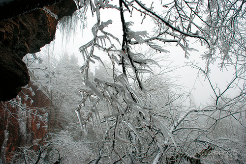 告诉你如何展现雪景的纯白无瑕6