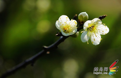 新手正确认识锐度 获得清晰照片必修课6