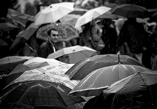 雨水让照片更有感觉 雨天摄影全攻略4