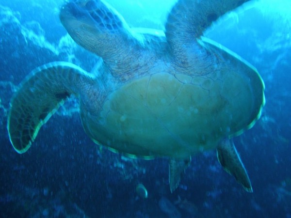 梦幻海岛马尔地夫 你该怎么拍4