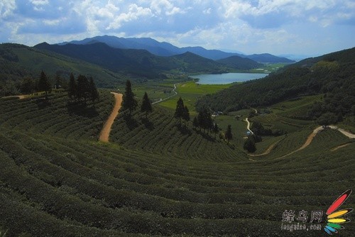 单反拍摄中风景光线分析4