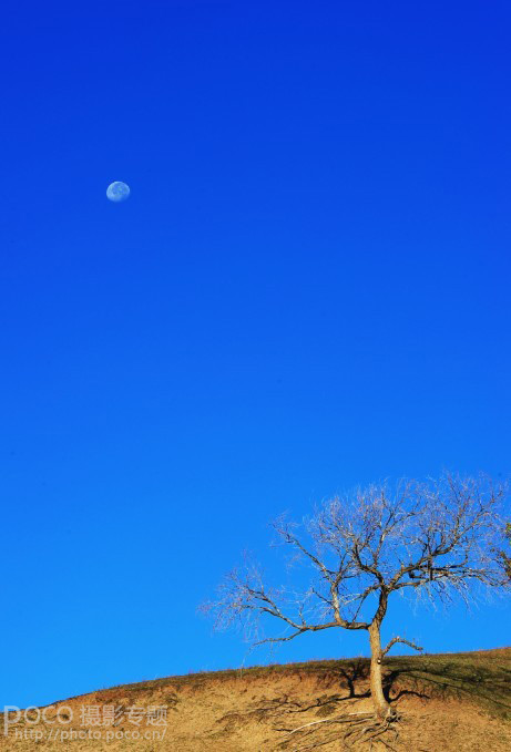 如何挑选出好的旅游风景照5