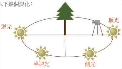 对于光线在拍摄中的作用的基本认识2