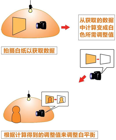 了解白平衡和白平衡的设置技巧7