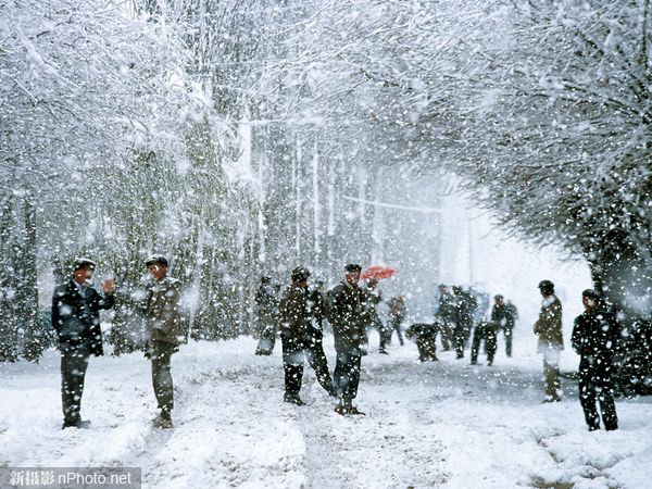 国家地理教你轻松拍摄漂亮照片：色彩10