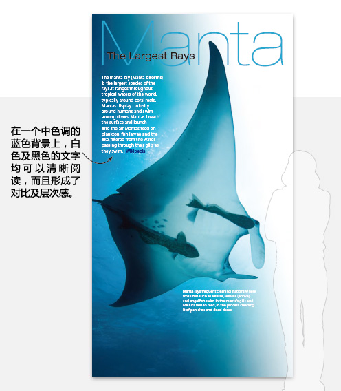 如何设计大型展示牌10