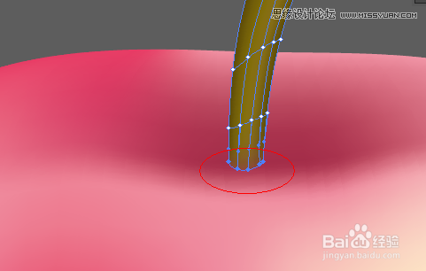 Illustrator使用网格工具制作逼真的红苹果7