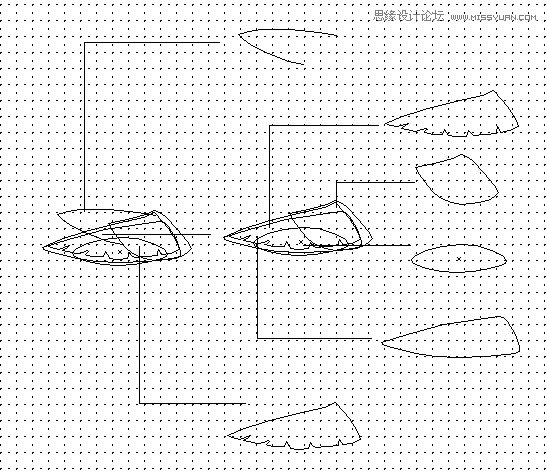 Illustrator蜂鸟图片实例教程5