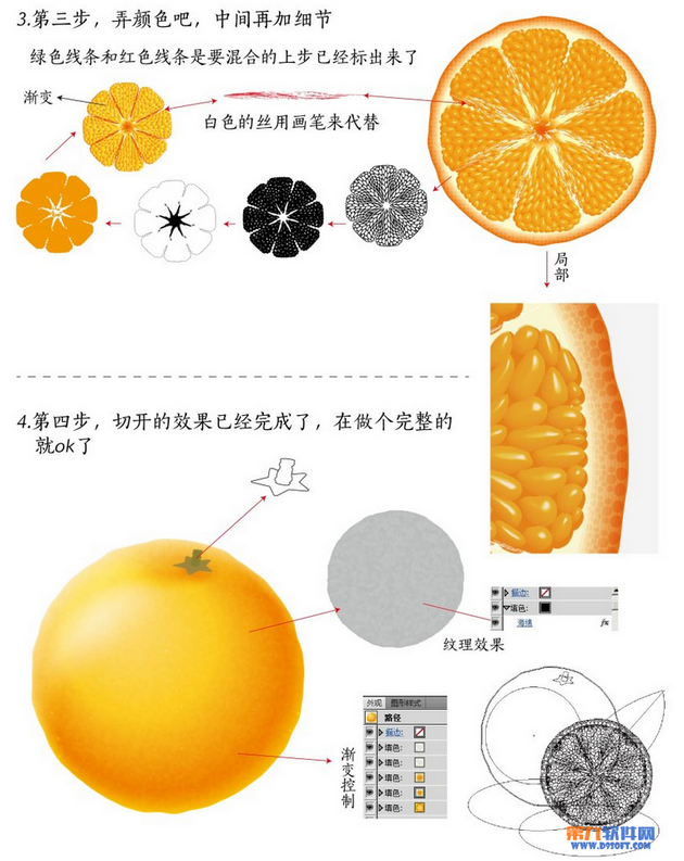 巧用Illustrator快速绘制逼真橙子4