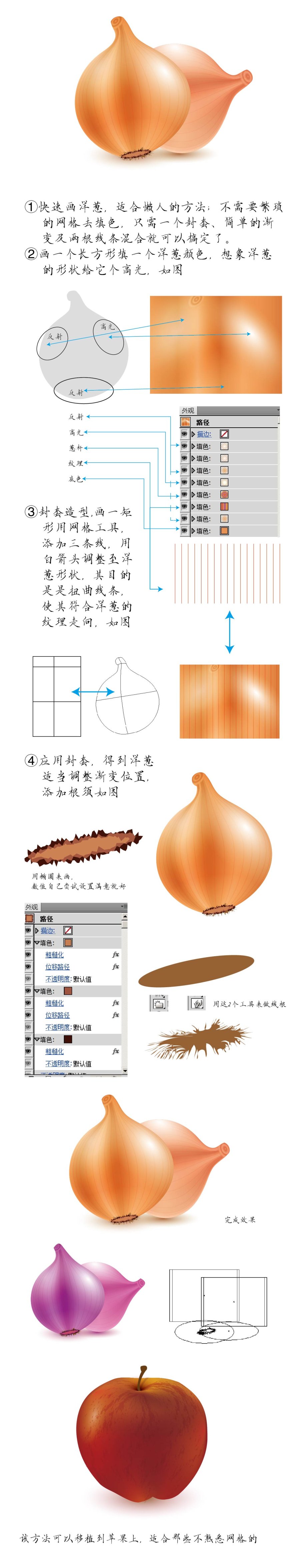 Illustrator简单绘制质感的洋葱头教程2