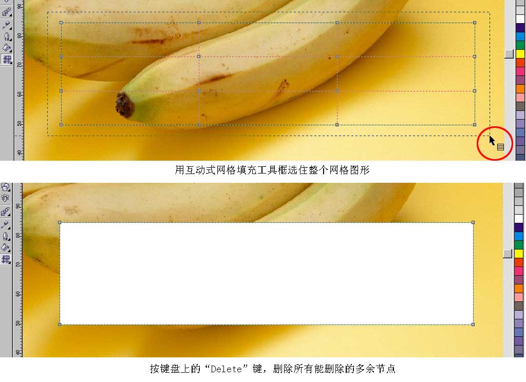 coreldraw绘制香蕉教程4