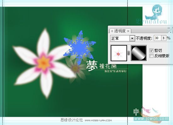 Illustrator绘制花朵教程19