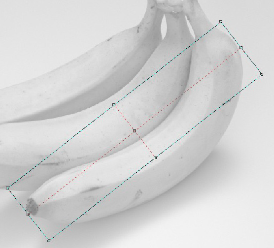 coreldraw绘制香蕉教程7
