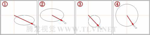 使用CorelDRAW椭圆工具绘制椭圆和圆形3