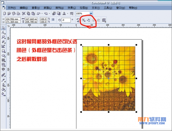 怎样在CorelDraw中任意拆分图片4