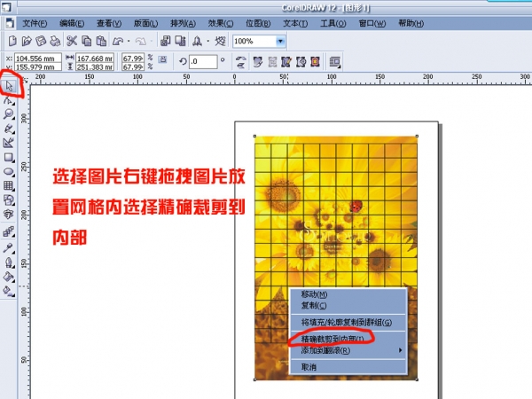 cdr任意拆分图片或矢量图形3