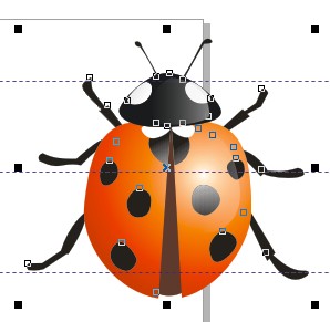 CDR绘制精致的瓢虫6