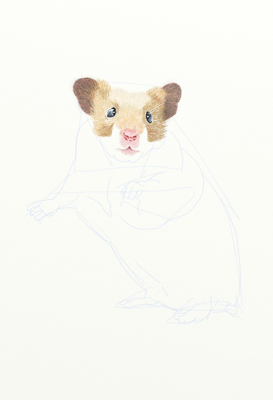 painter绘制一只可爱的小老鼠插画13