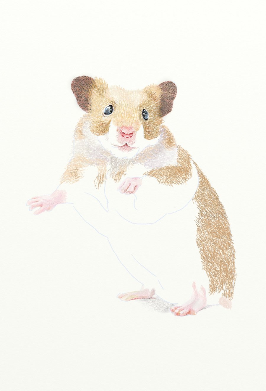 painter绘制一只可爱的小老鼠插画2