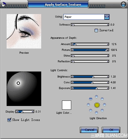 Wacom数码板加Painter手绘写意秀美头像10