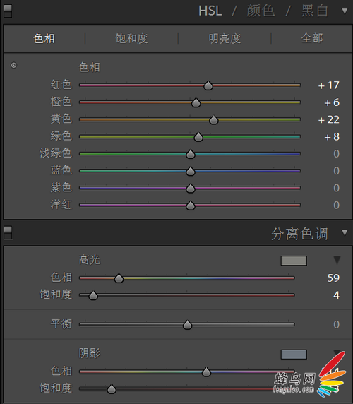 Lightroom调色示例 光影斑驳的森林小清新5