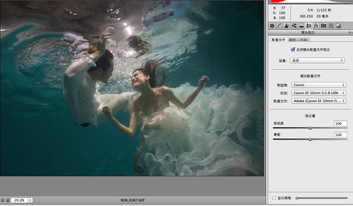 PS让水下照片恢复漂亮的状态3