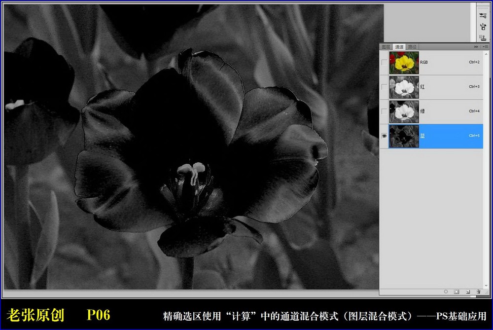 Photoshop通过计算命令改变花的颜色实例教程5