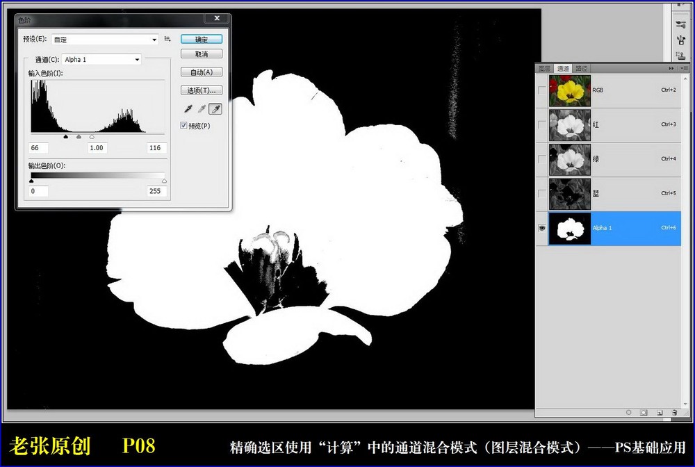 Photoshop通过计算命令改变花的颜色实例教程6