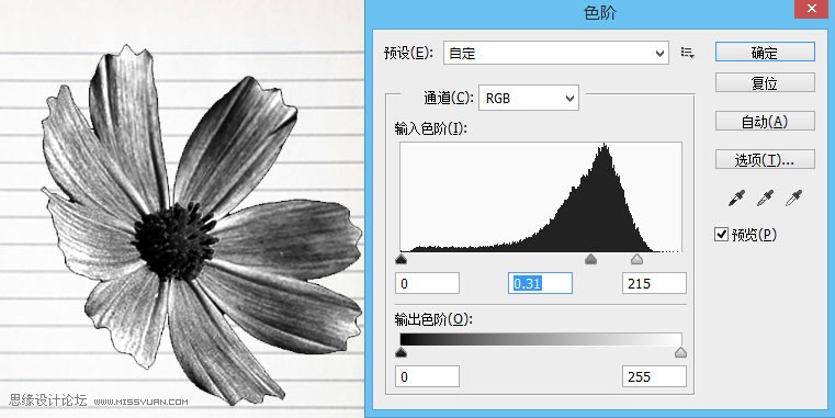 Photoshop制作蓝色圆珠笔手绘花朵照片5