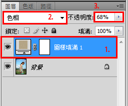 photoshop利用图案工具加强照片效果3