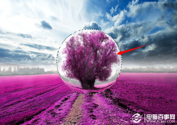 Photoshop打造梦幻薰衣草水晶球效果5