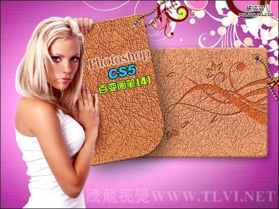 Photoshop CS5百变画笔之照片级皮革质感1