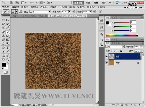 Photoshop CS5百变画笔之照片级皮革质感6