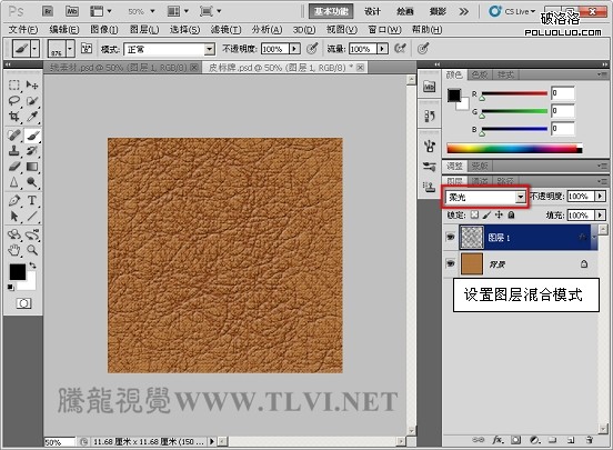 Photoshop CS5百变画笔之照片级皮革质感7